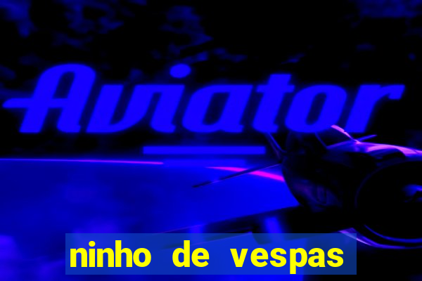 ninho de vespas significado espiritual